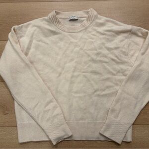 Aritzia 100% Cashmere Crew Neck Sweater